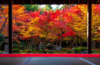 京都 圓光寺