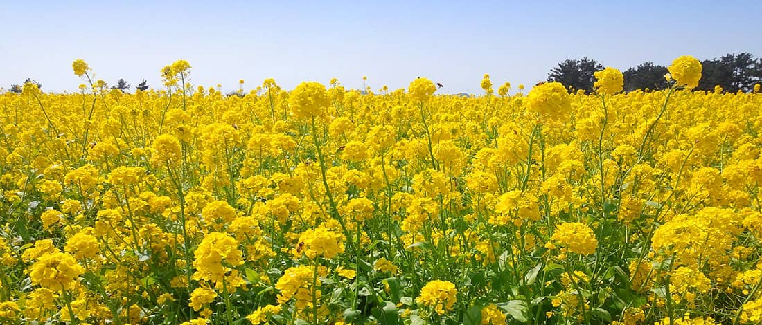 関東エリア 千葉県発