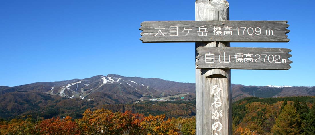 ひるがの高原発